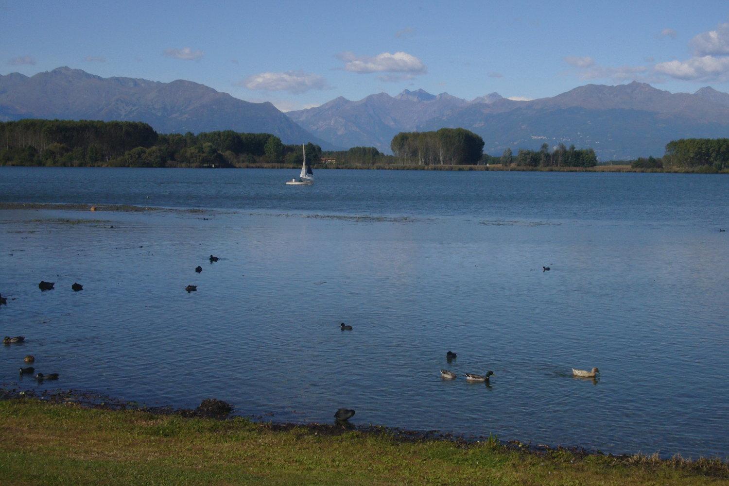 Residenza Del Lago Candia Canavese المظهر الخارجي الصورة